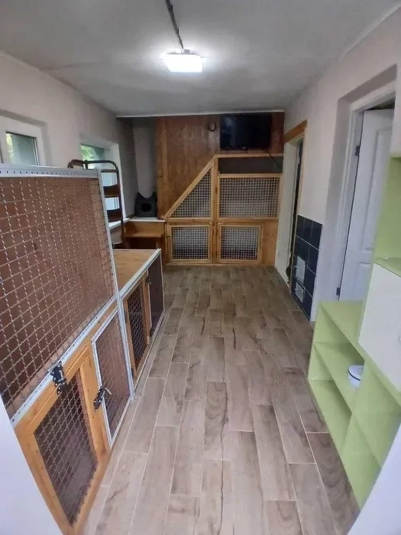 Домашній готель для собак Villa Esenia. Найкраще місце для ваших улюбленців.