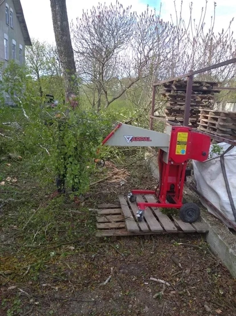 Зрізання обрізання валка видалення аварійних дерев