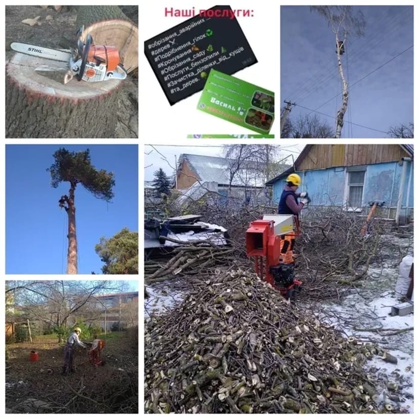 Зрізання обрізання валка видалення аварійних дерев