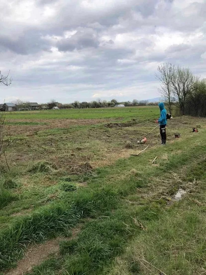 Покос, прибирання участків. Від 250₴ за 100 кв. м