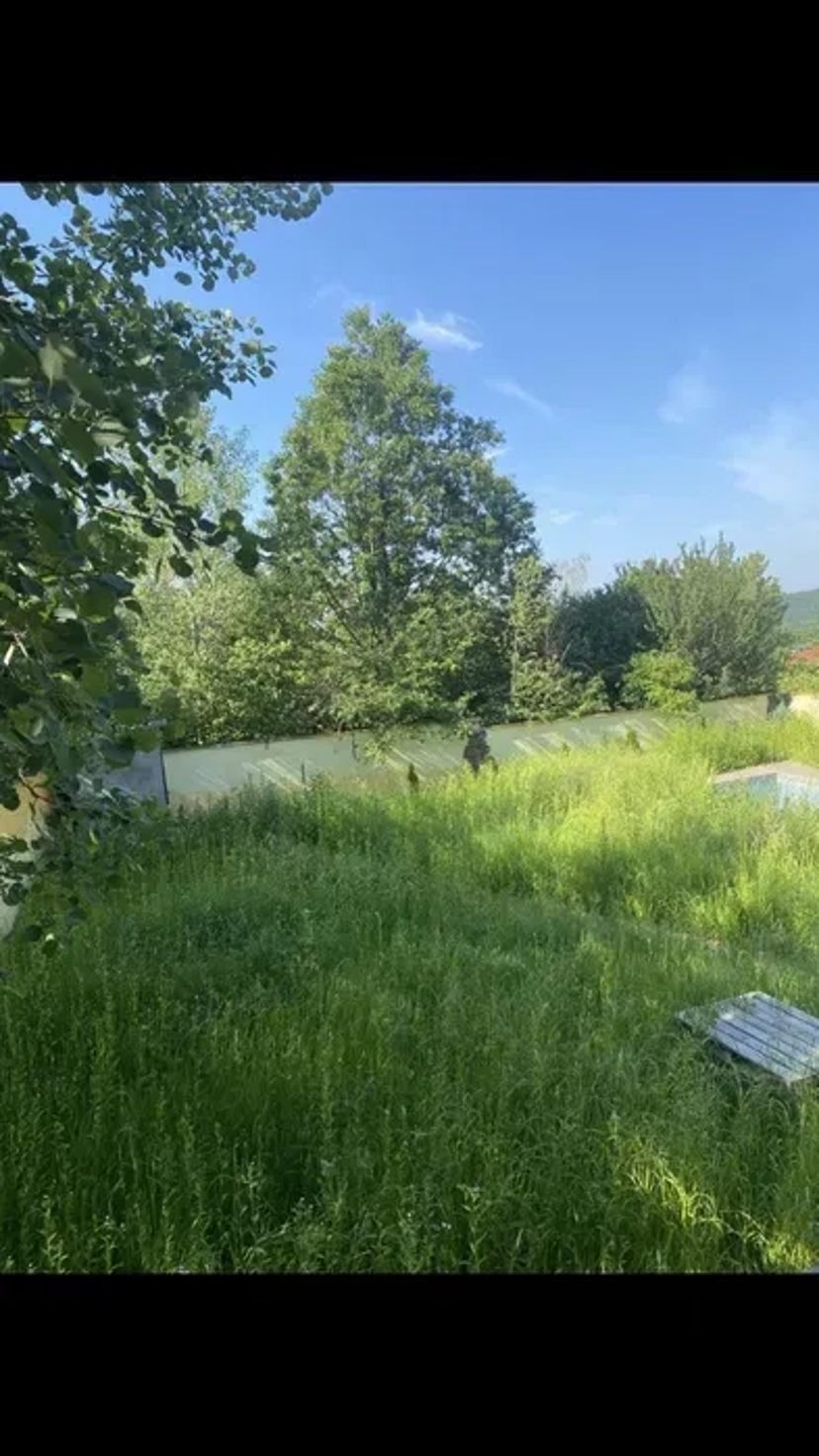 Покос, прибирання участків. Від 250₴ за 100 кв. м