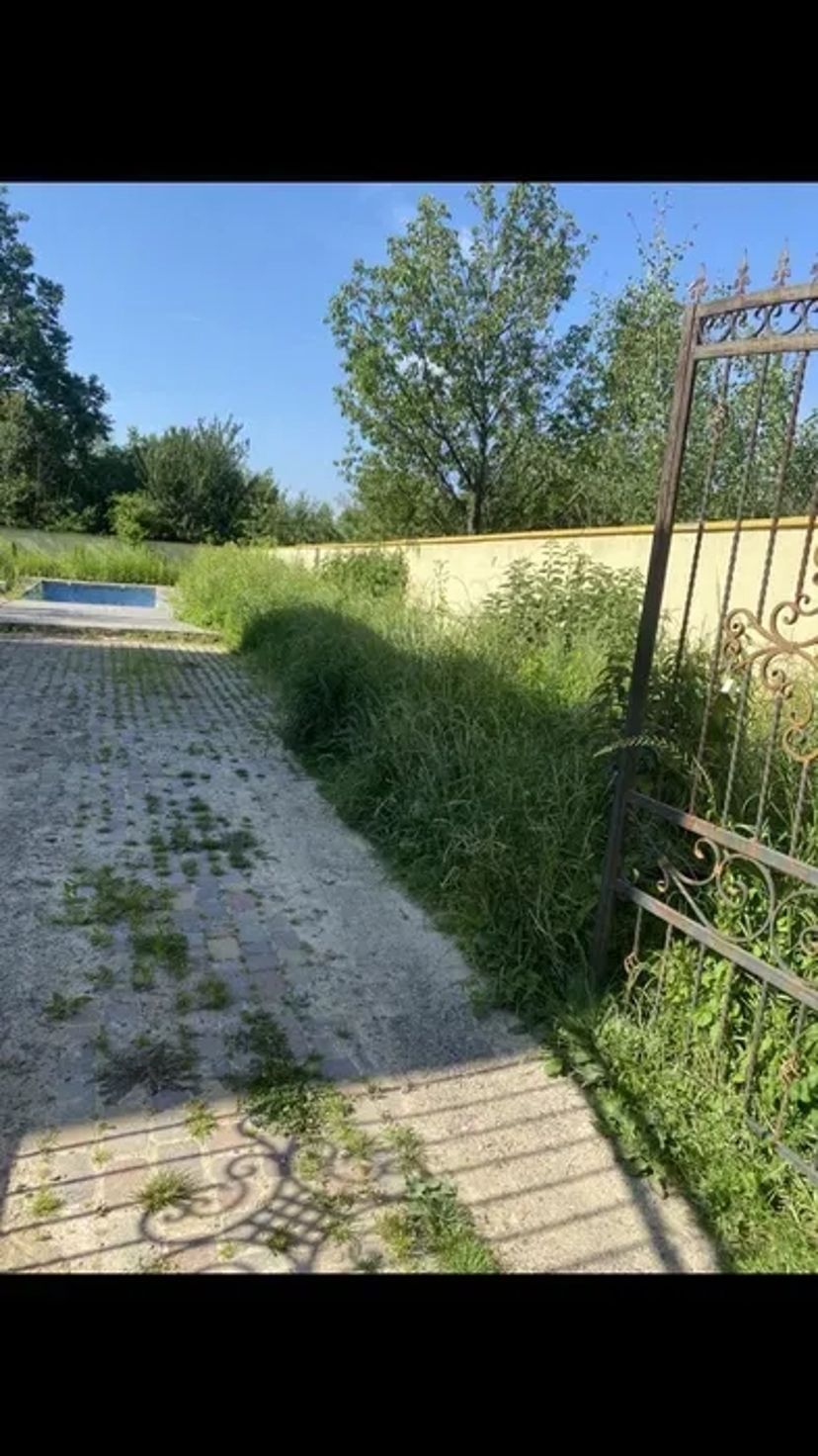 Покос, прибирання участків. Від 250₴ за 100 кв. м