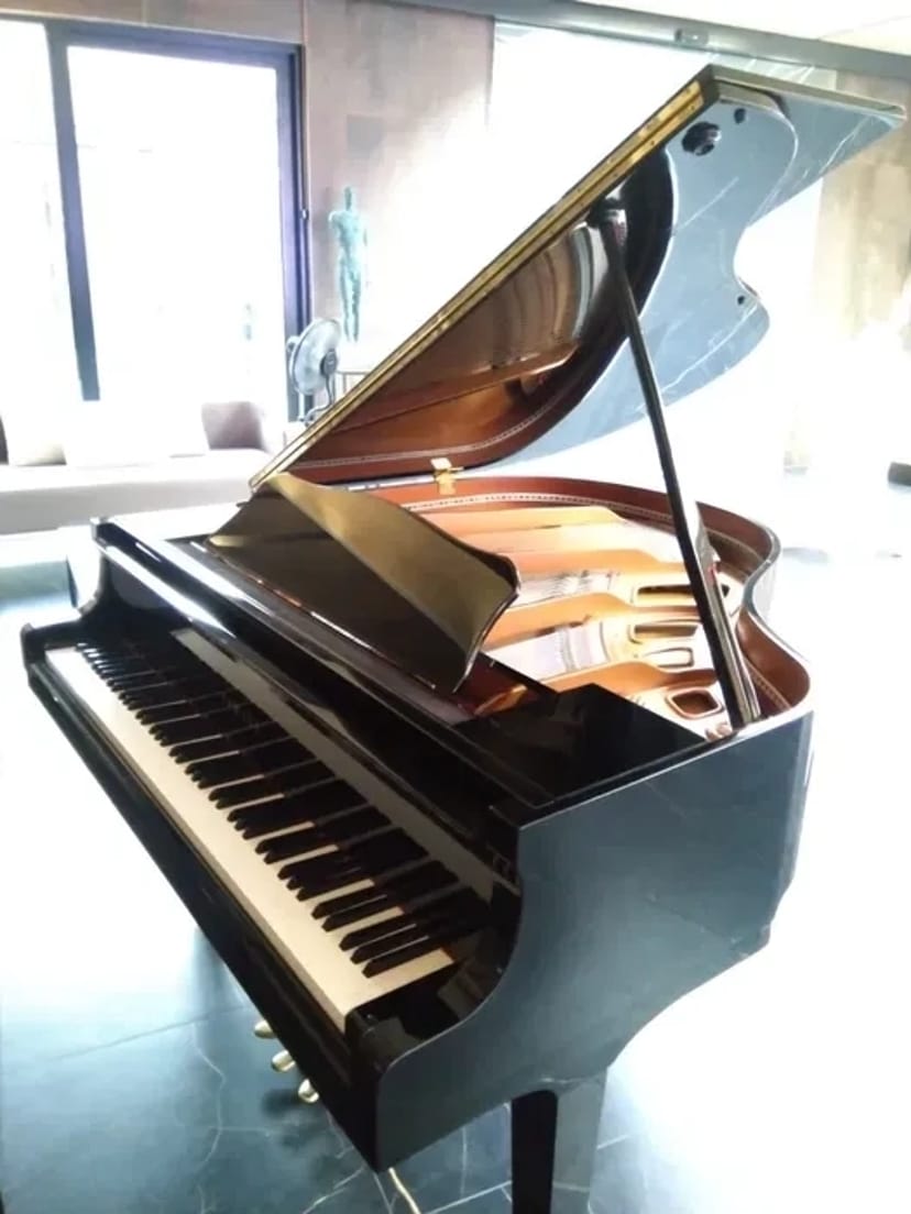 Роялі, Послуги піаниста.