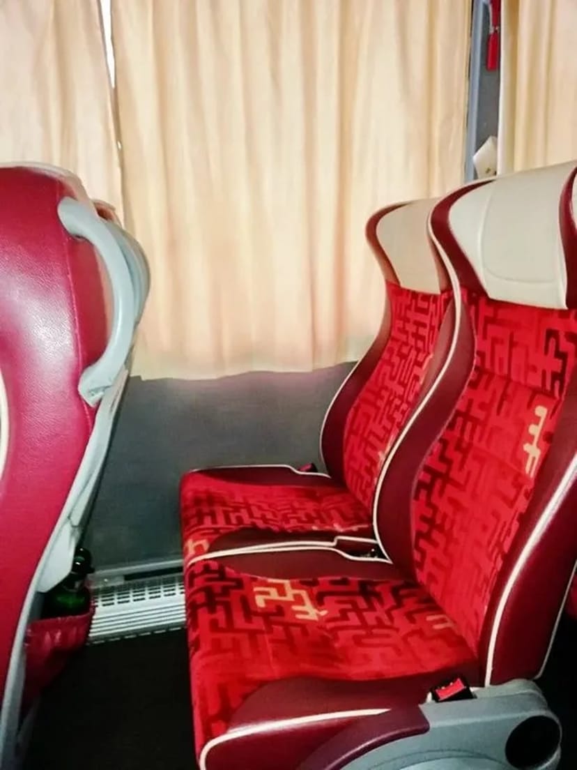 364 Автобус на весілля Isuzu білий 37 місць