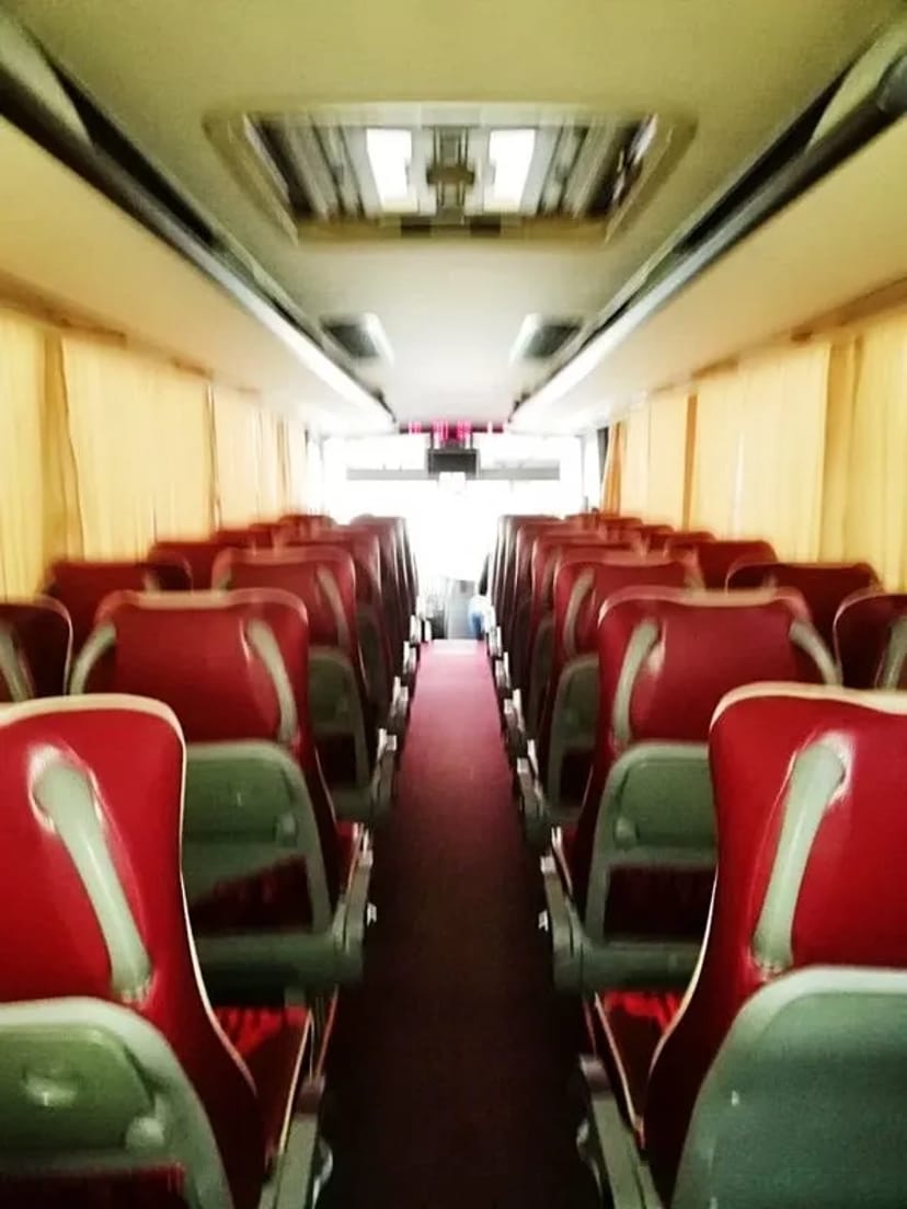 364 Автобус на весілля Isuzu білий 37 місць