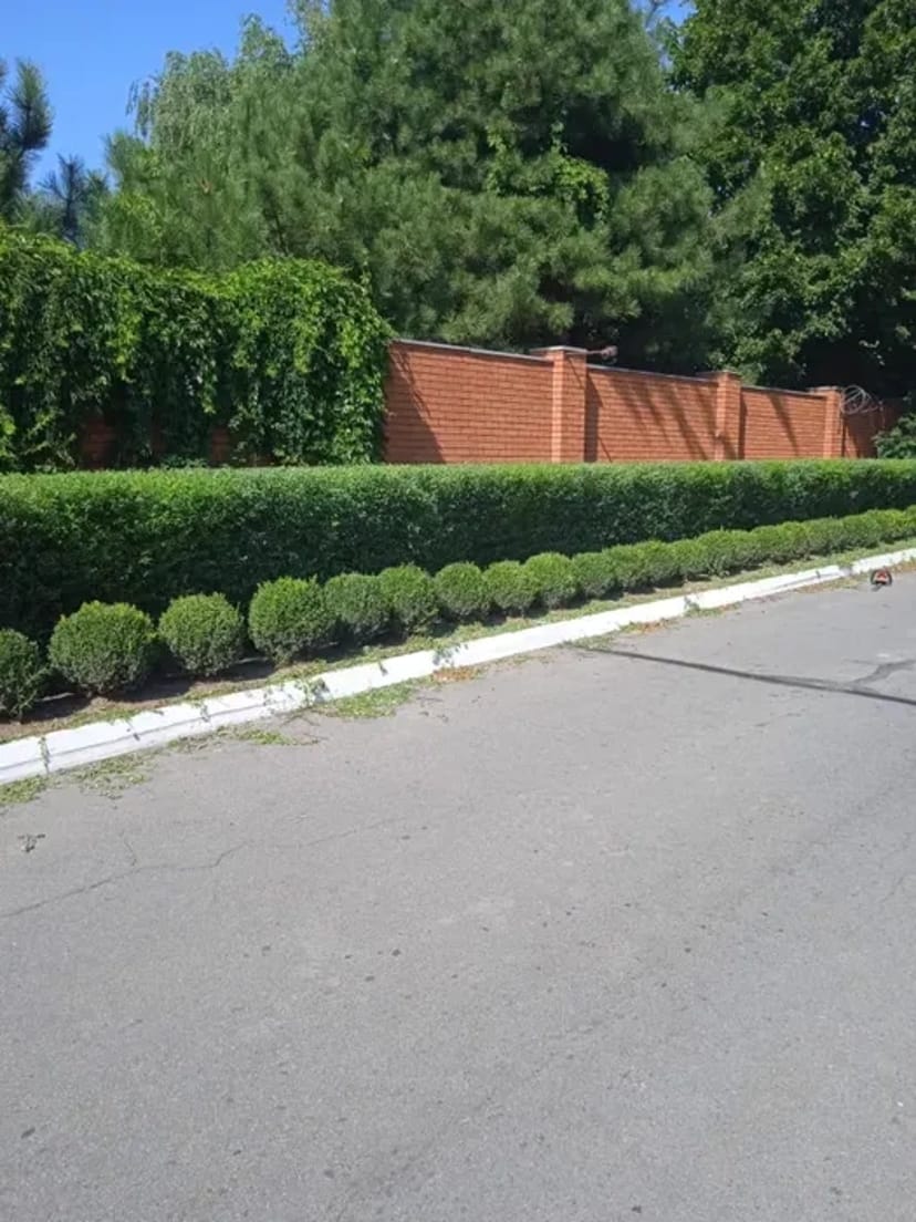 Садівник Озеленення ділянок Обрізка дерев Газон