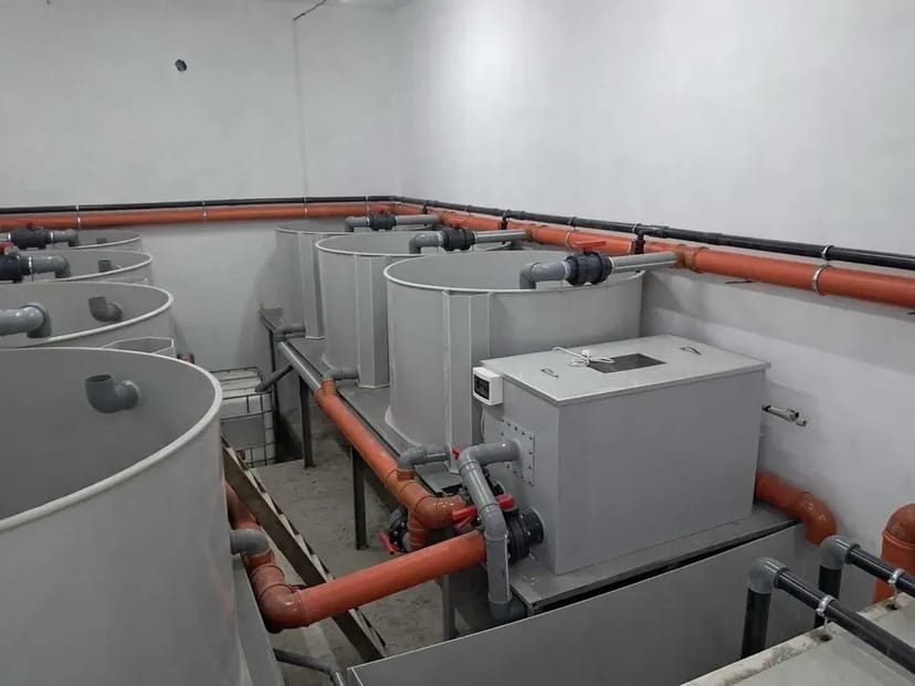 Будівництво рибних ферм УЗВ