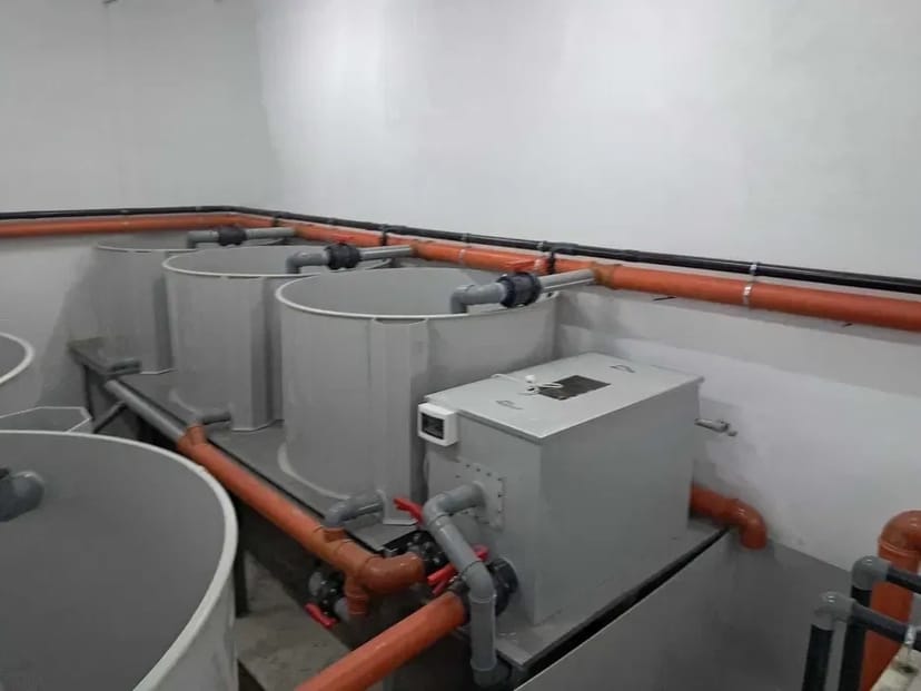 Будівництво рибних ферм УЗВ