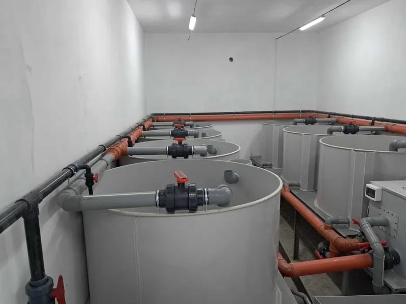 Будівництво рибних ферм УЗВ