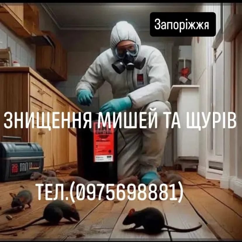 Знищення Мишей Щурів Тарганів Клопів та Блох, в кафе у магазинах