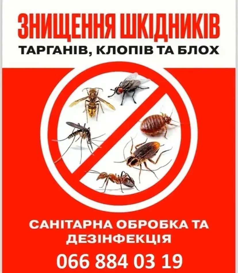Знищення Мишей Щурів Тарганів Клопів та Блох, в кафе у магазинах
