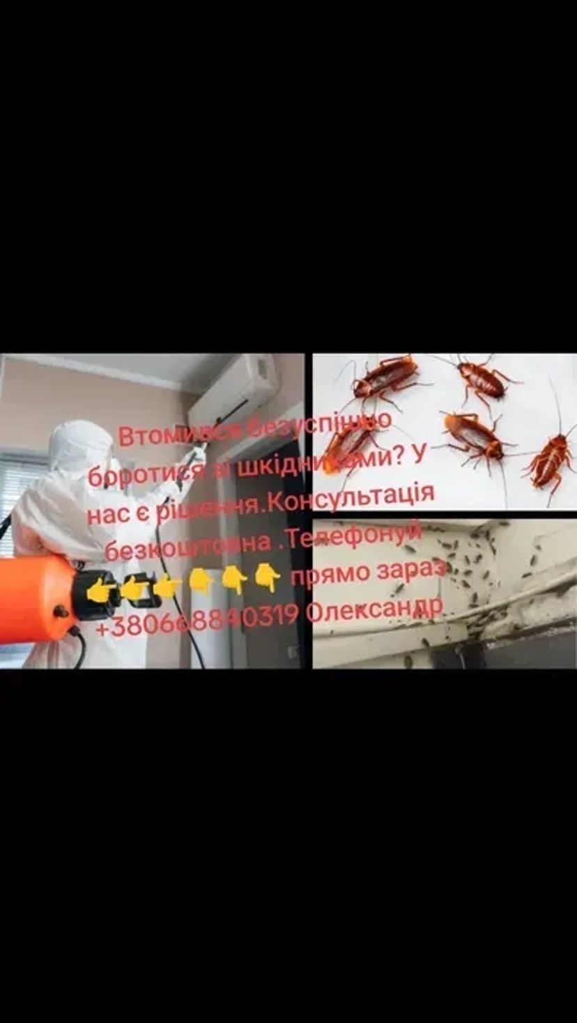 Знищення Мишей Щурів Тарганів Клопів та Блох, в кафе у магазинах