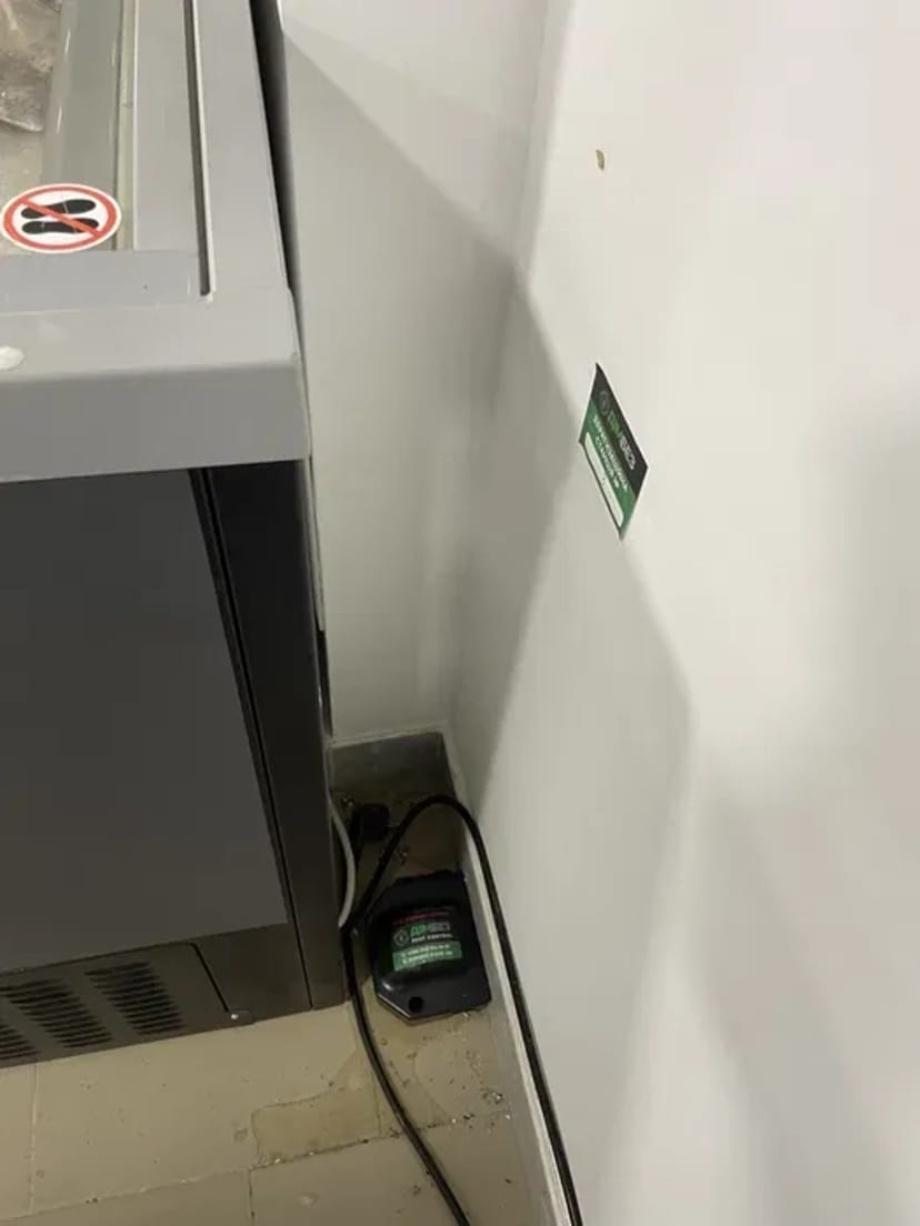 Дератизація професійне знищення та контроль гризунів