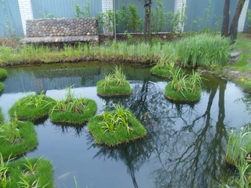 Плаваючий острів з висадженої осокою