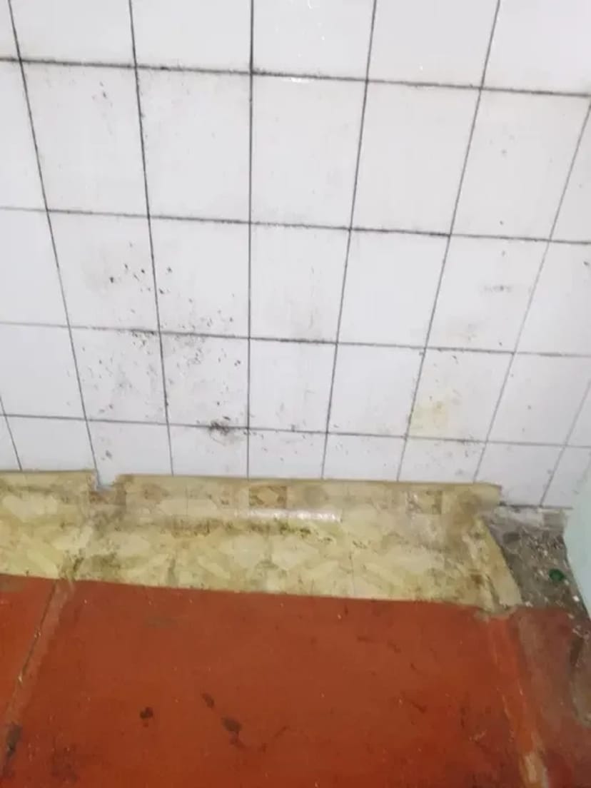 Прибирання будь-якої складності: квартира, будинок, офіс, котедж