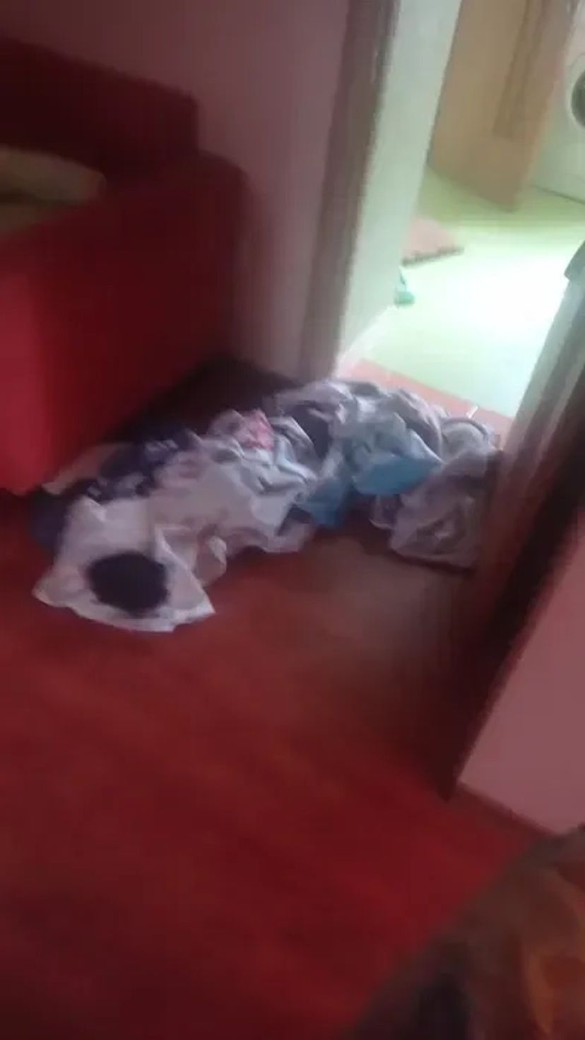 Прибирання будь-якої складності: квартира, будинок, офіс, котедж