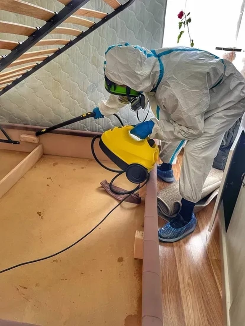 Знищення шкідників, професійна дезінсекція. Комплексний підхід.