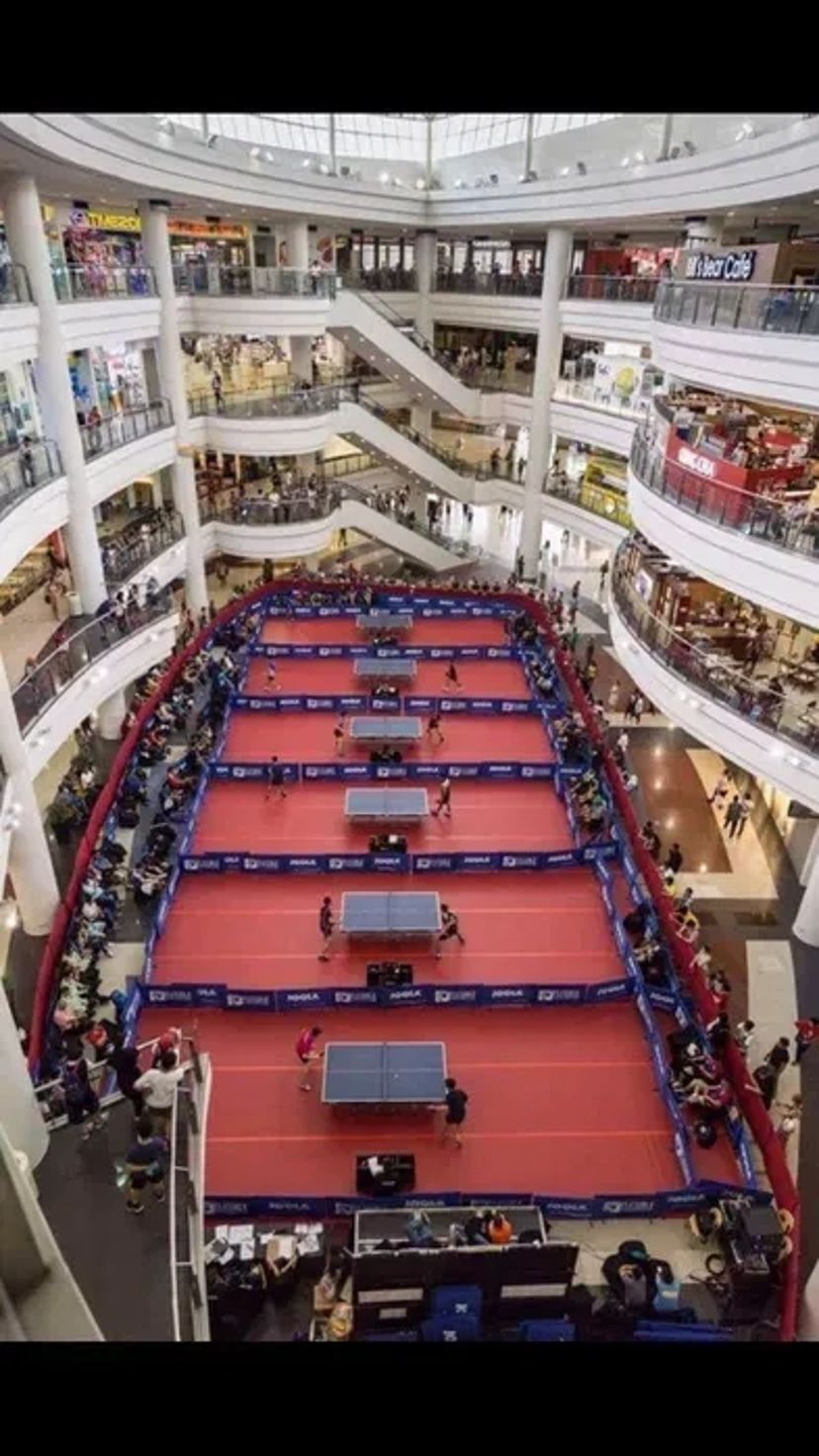 Тенісні столи, ракетки, робот для настільного тенісу