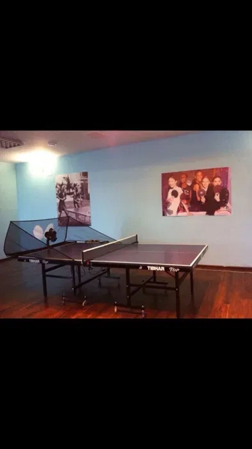 Тенісні столи, ракетки, робот для настільного тенісу