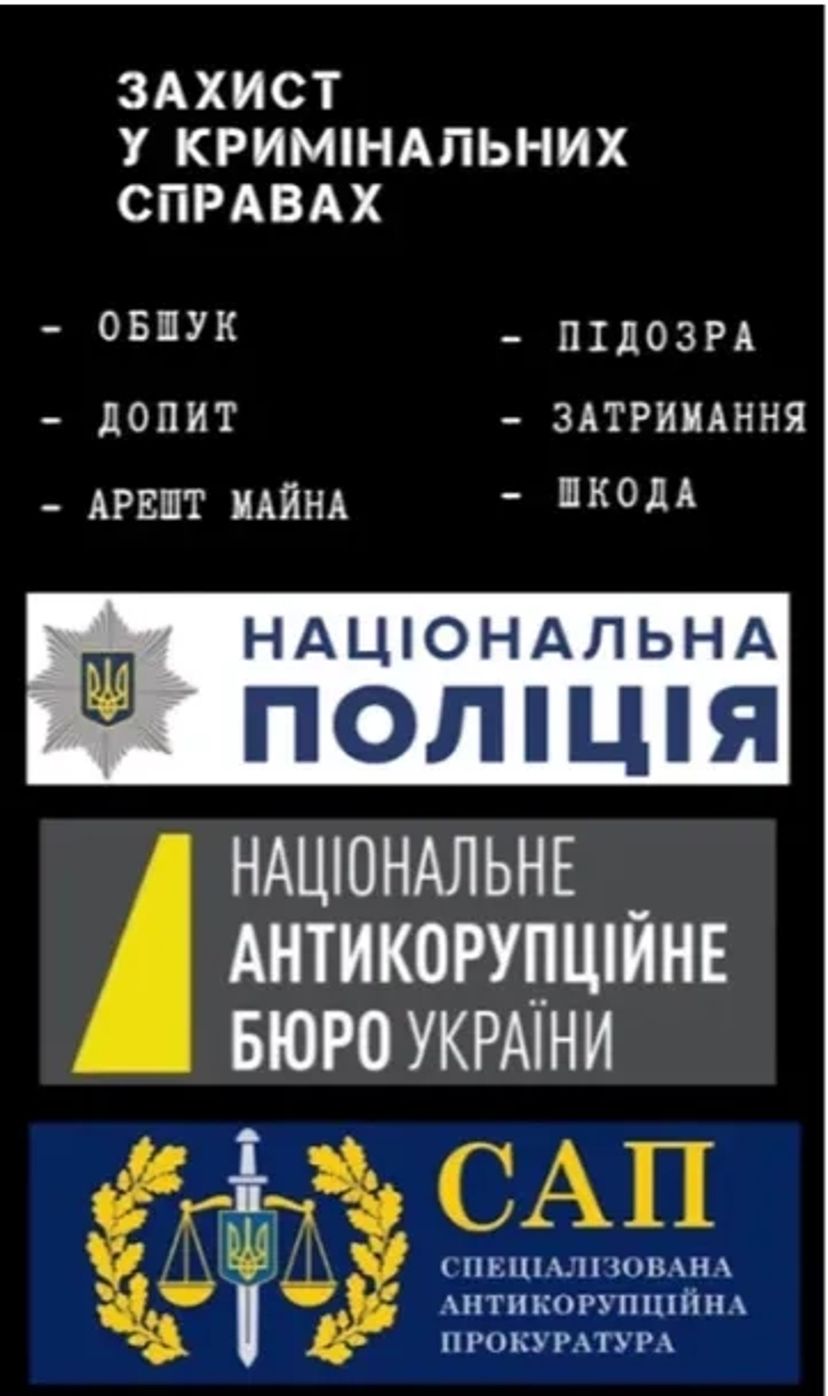 Адвокат Волошина Олена Цивільні і Кримінальні справи м.Новомосковськ