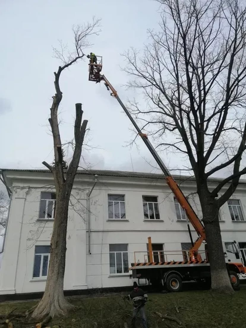 Автовишка, підйомник.