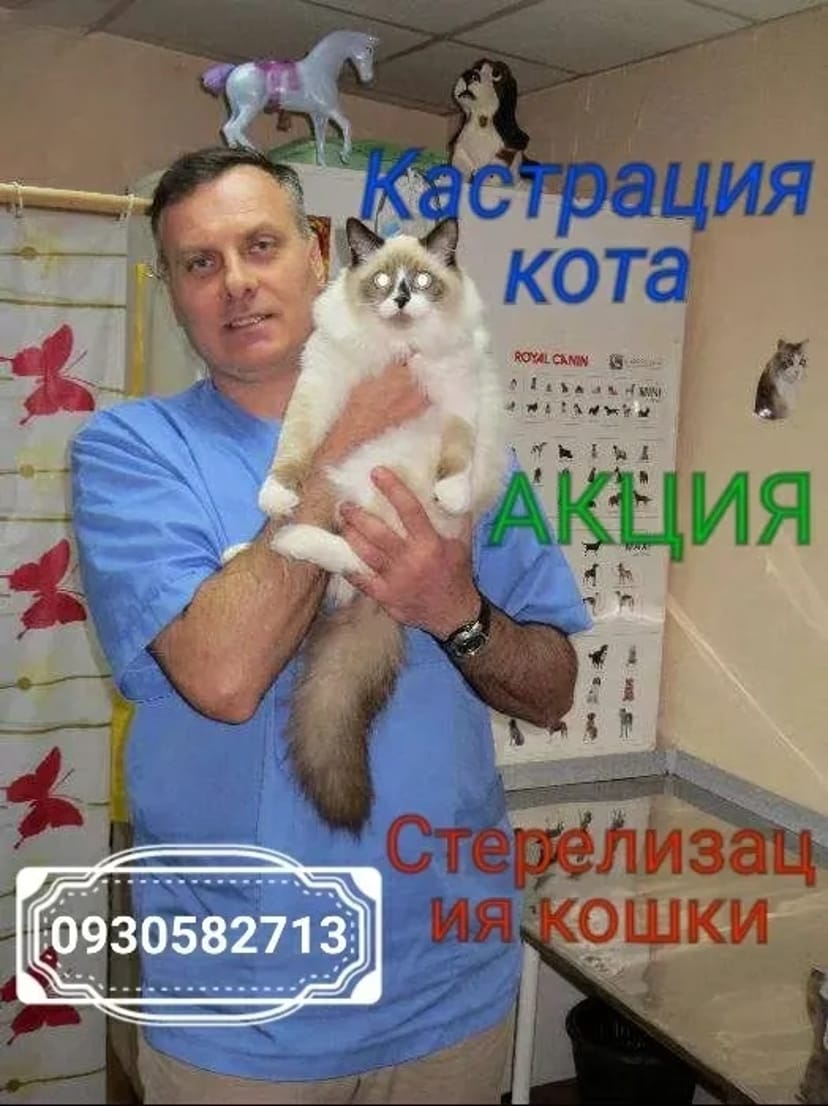 Акция!Стерелизация кошки кастрация кота Ветеринар на дом.