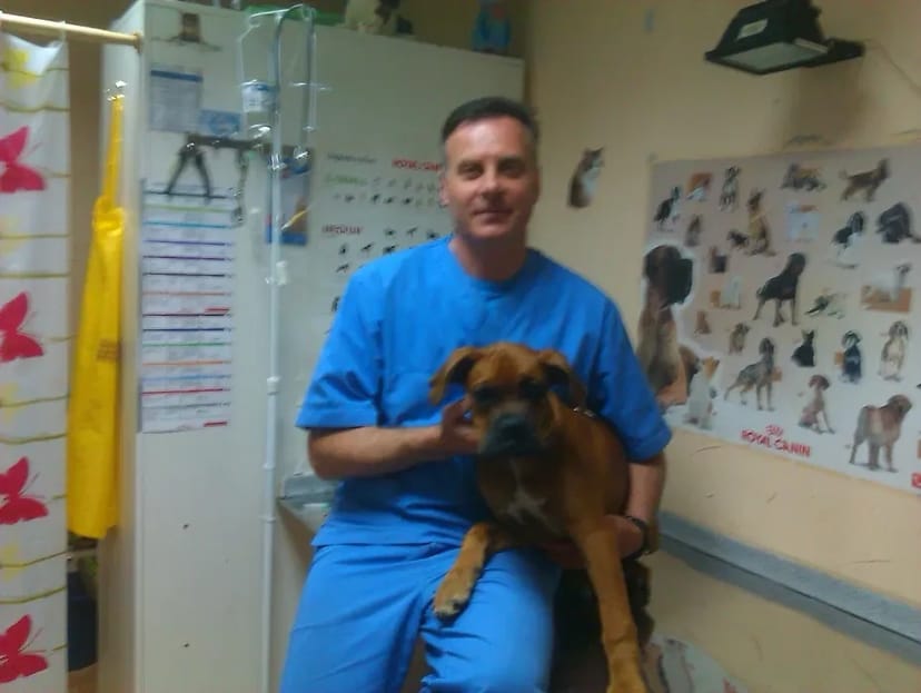 Акция!Стерелизация кошки кастрация кота Ветеринар на дом.