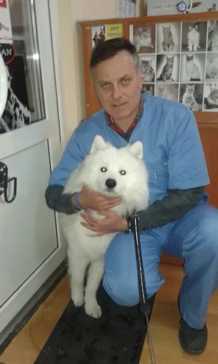 Акция!Стерелизация кошки кастрация кота Ветеринар на дом.