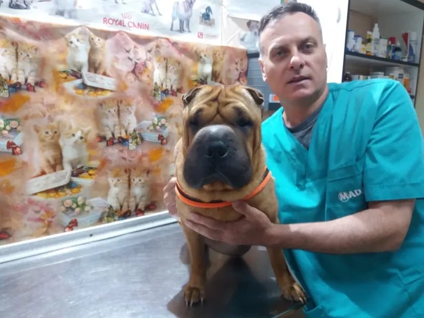 Акция!Стерелизация кошки кастрация кота Ветеринар на дом.