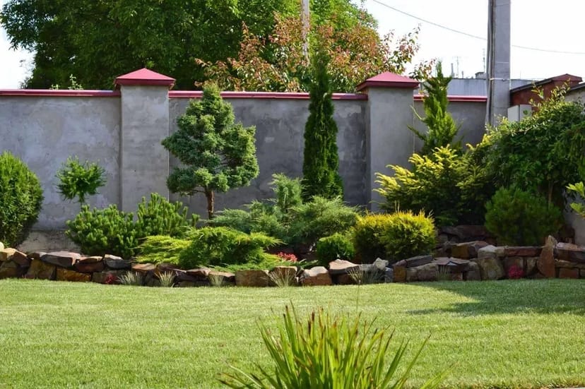 Ландшафтний дизайн Ландшафтный дизайн догляд полив рулонний газон