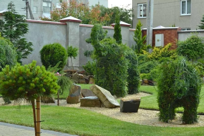 Ландшафтний дизайн Ландшафтный дизайн догляд полив рулонний газон