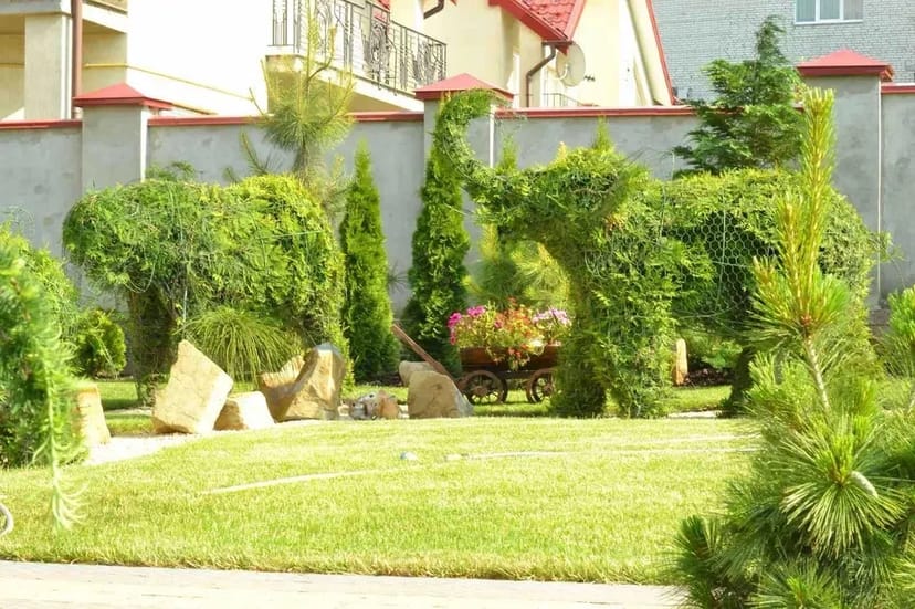 Ландшафтний дизайн Ландшафтный дизайн догляд полив рулонний газон