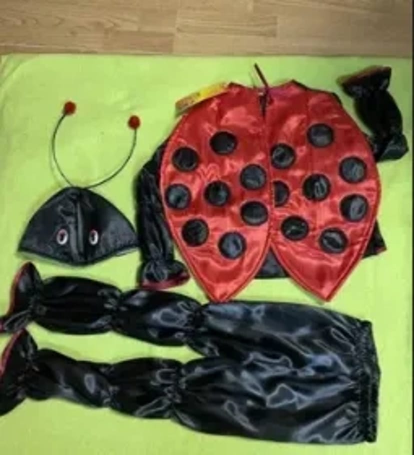 Костюм жук сонечко