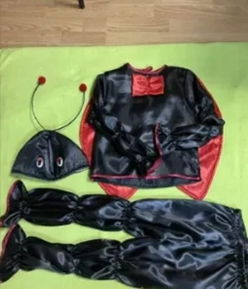 Костюм жук сонечко