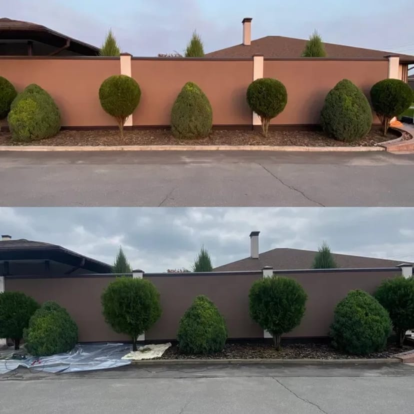 Догляд за ділянкою, Садівник, комплексний догляд за садом