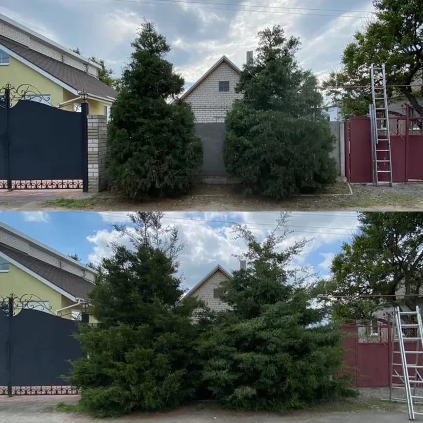 Догляд за ділянкою, Садівник, комплексний догляд за садом