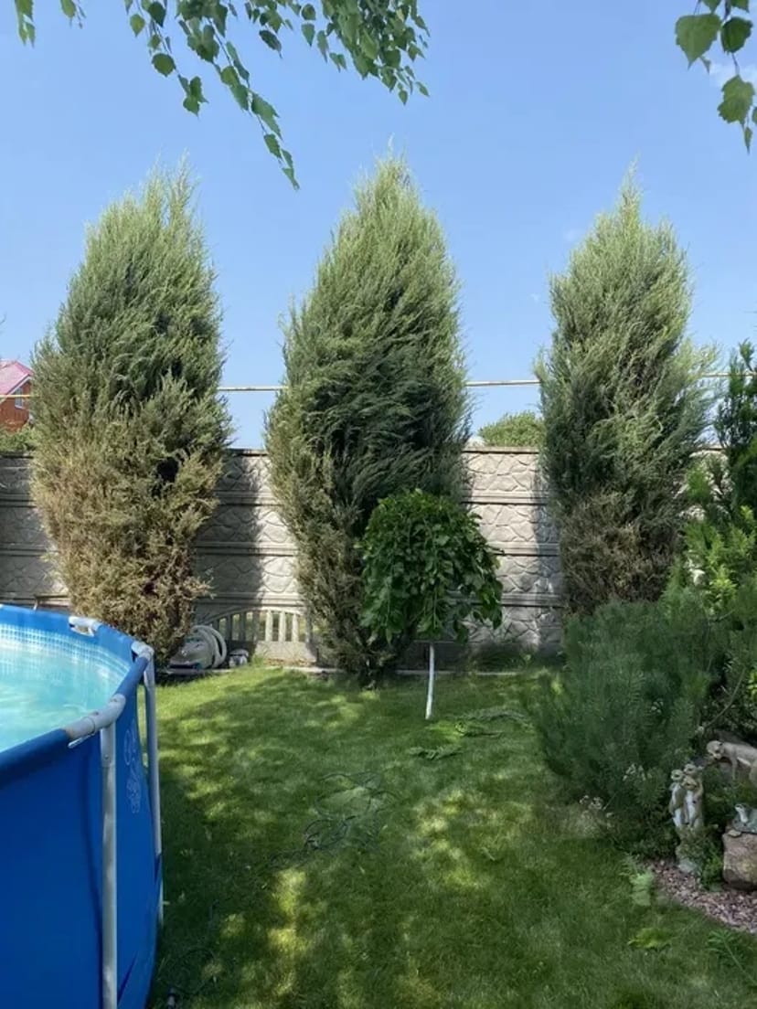 Догляд за ділянкою, Садівник, комплексний догляд за садом