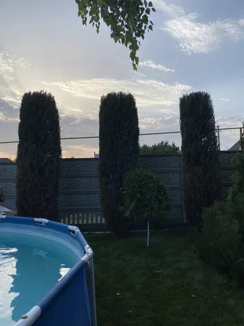 Догляд за ділянкою, Садівник, комплексний догляд за садом