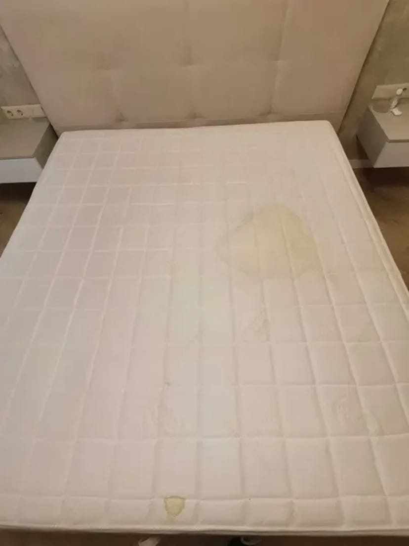 Хімчистка меблів на дому Дивани матраців крісло стільці ковролін