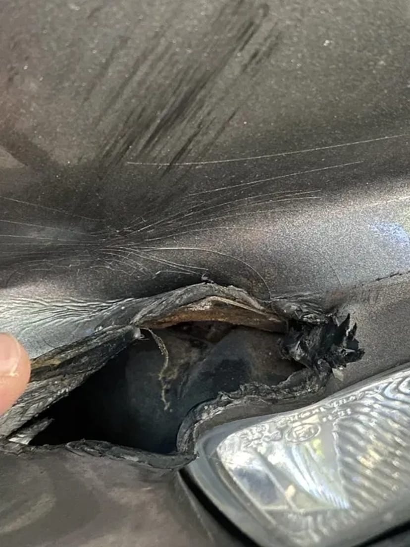 Ремонт авто!, рихтування, фарбування, ремонт бамперів, двигуна, без вихідних