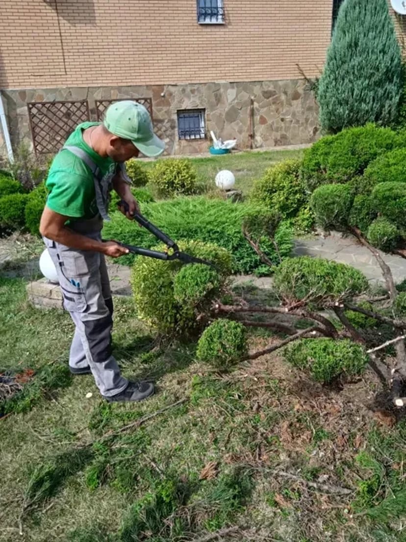 Послуги садівника обрізка дерев Газон Озеленення території