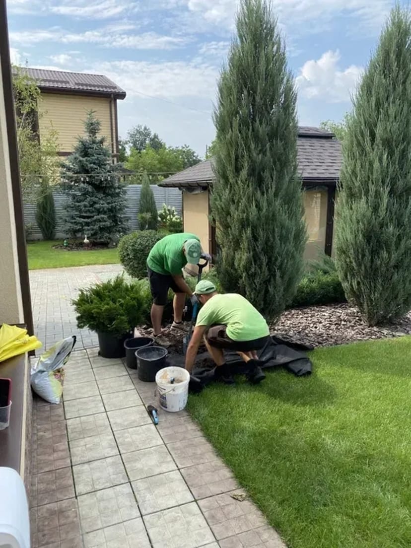 Послуги садівника обрізка дерев Газон Озеленення території