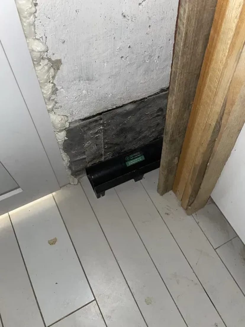 Ефективне знищеня та контроль гризунів. Професійна Дератизація.