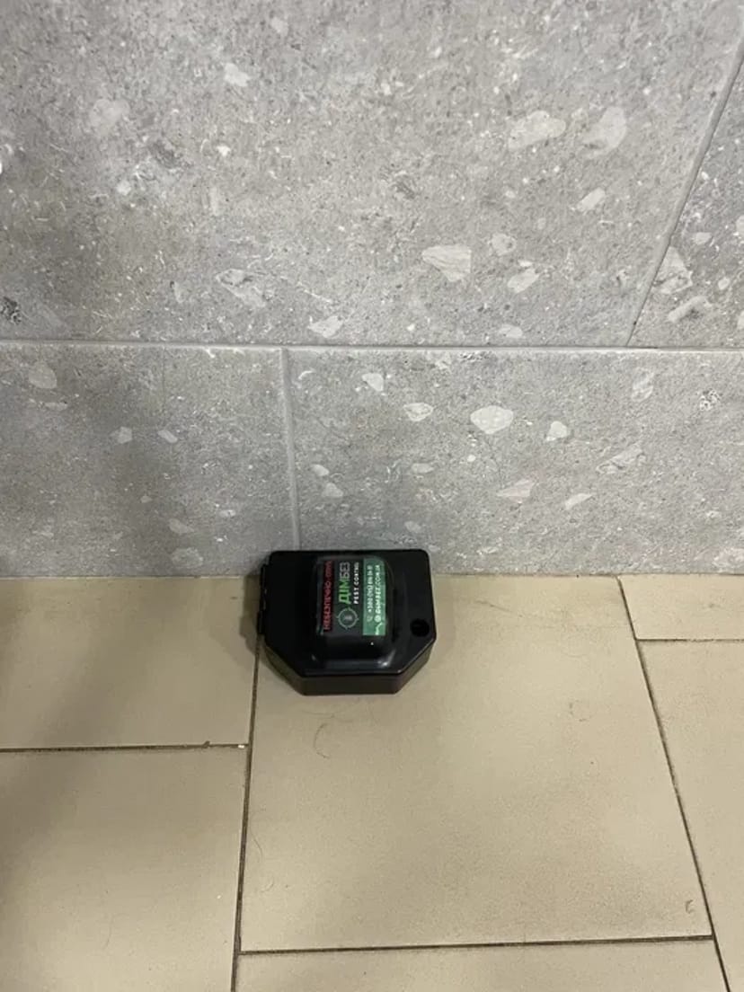 Ефективне знищеня та контроль гризунів. Професійна Дератизація.