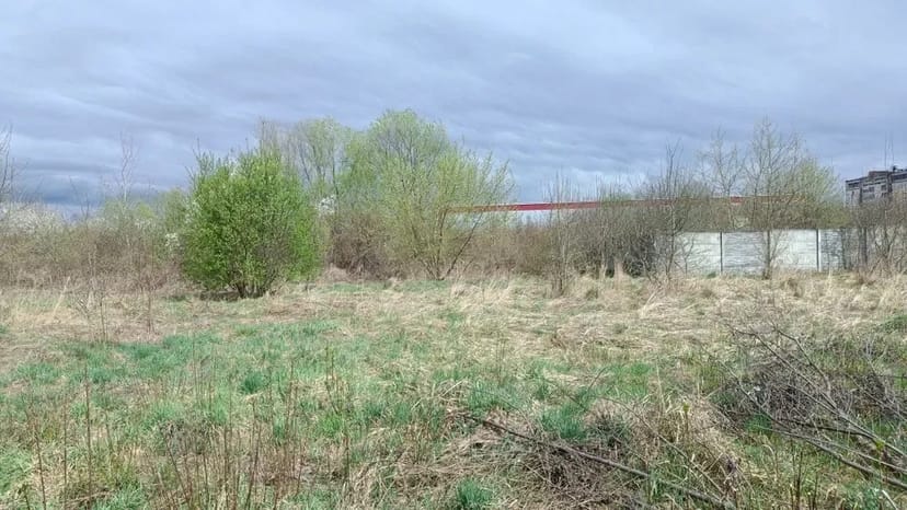 Зачистка території під забудову, продаж і т.д. Благоустрій. 150 грн.