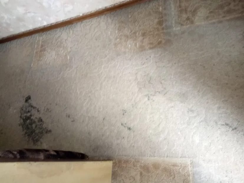 Хімчистка матраців,мягких меблів, салонів авто, ковролінів, килимів.