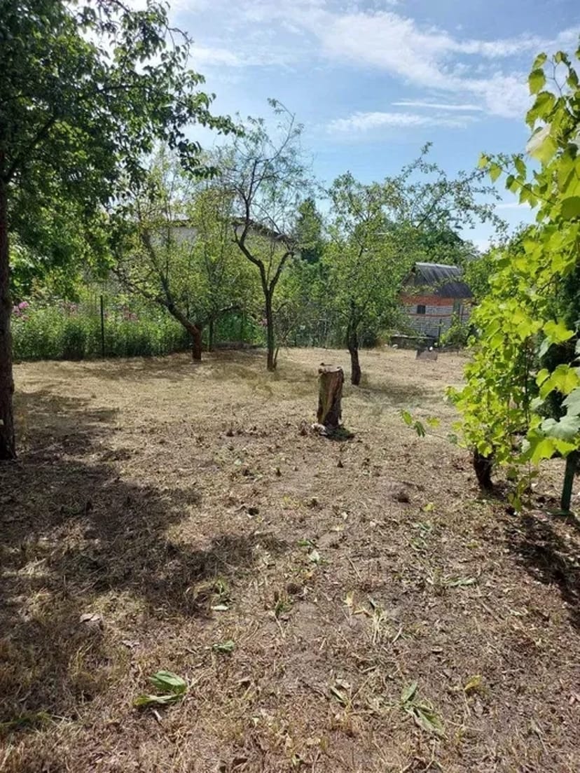 ПРИБИРАННЯ Територій від 200 грн сотка СПИЛ ДЕРЕВ, Розчищення ділянок