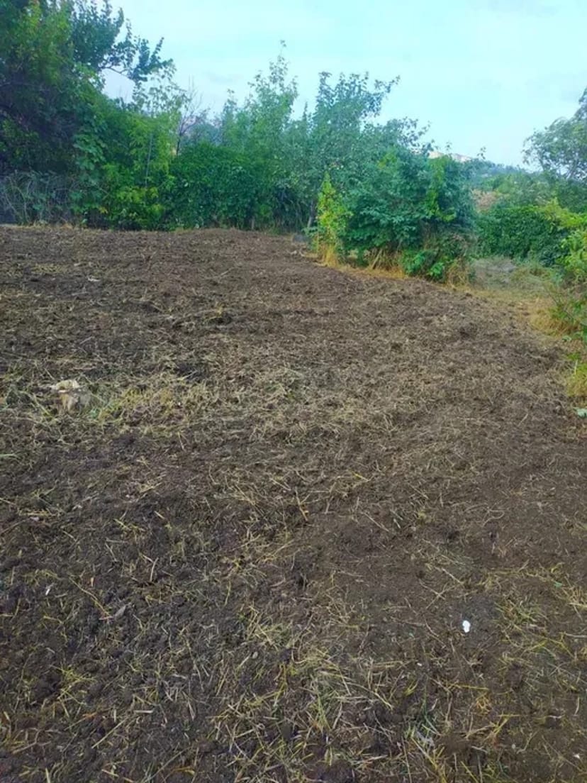 ПРИБИРАННЯ Територій від 200 грн сотка СПИЛ ДЕРЕВ, Розчищення ділянок