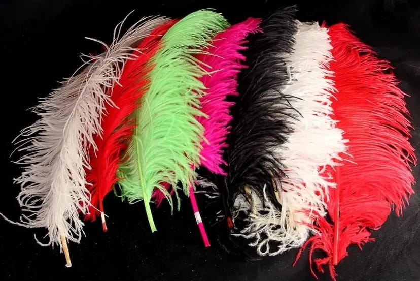 Пір'я страуса декор