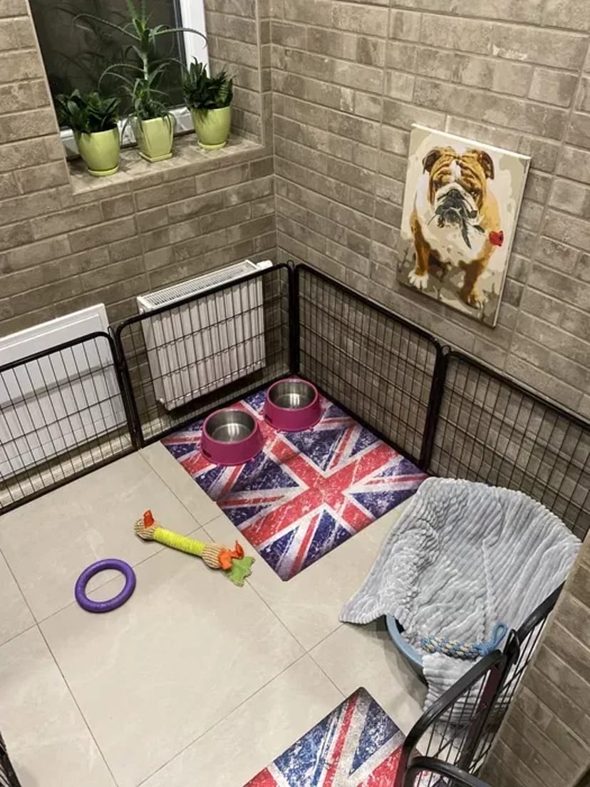 Перетримка вашого улюбленця в комфортних умовах. Київ. Трансфер. Повідомлення